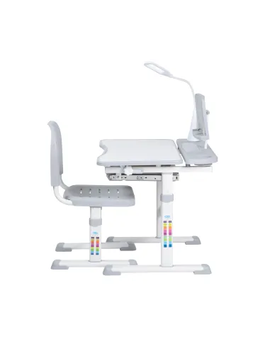 Escritorio de estudios Reclinable Ajustable Niños Gris