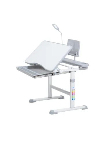 Escritorio de estudios Reclinable Ajustable Niños Gris