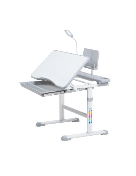 Escritorio de estudios Reclinable Ajustable Niños Gris