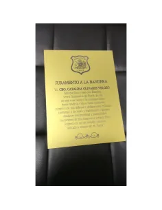Pack de 25 Placas Aluminio Texturado Dorada Sublimables 60x30 Cm 2