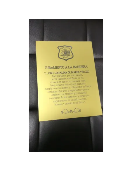 Pack de 25 Placas Aluminio Texturado Dorada Sublimables 60x40 Cm
