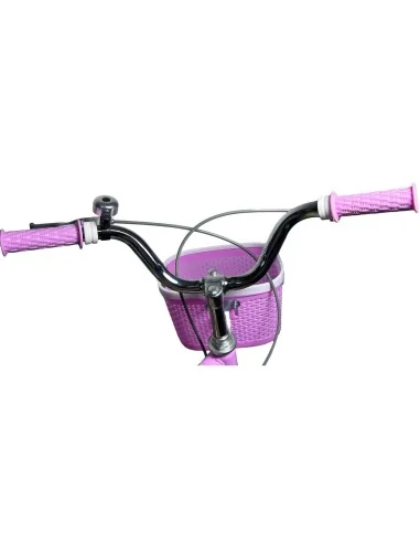Bicicleta Infantil con Ruedas de Entrenamiento Aro 20" / Todokcl